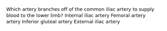 Which artery branches off of the common iliac artery to supply blood to the lower limb? Internal iliac artery Femoral artery artery Inferior gluteal artery External iliac artery