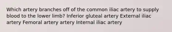 Which artery branches off of the common iliac artery to supply blood to the lower limb? Inferior gluteal artery External iliac artery Femoral artery artery Internal iliac artery