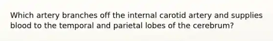 Which artery branches off the internal carotid artery and supplies blood to the temporal and parietal lobes of the cerebrum?