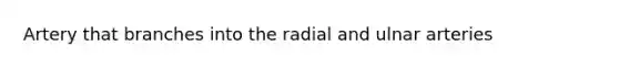 Artery that branches into the radial and ulnar arteries