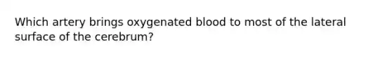 Which artery brings oxygenated blood to most of the lateral surface of the cerebrum?