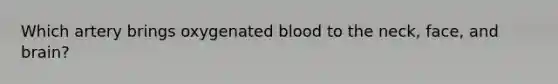 Which artery brings oxygenated blood to the neck, face, and brain?