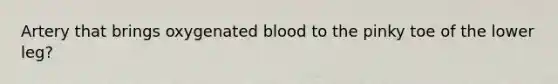 Artery that brings oxygenated blood to the pinky toe of the lower leg?