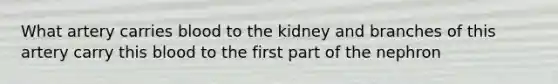 What artery carries blood to the kidney and branches of this artery carry this blood to the first part of the nephron