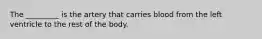 The _________ is the artery that carries blood from the left ventricle to the rest of the body.