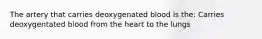 The artery that carries deoxygenated blood is the: Carries deoxygentated blood from the heart to the lungs