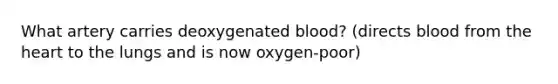 What artery carries deoxygenated blood? (directs blood from the heart to the lungs and is now oxygen-poor)