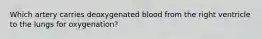 Which artery carries deoxygenated blood from the right ventricle to the lungs for oxygenation?