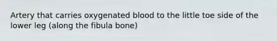 Artery that carries oxygenated blood to the little toe side of the lower leg (along the fibula bone)