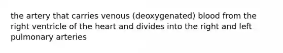 the artery that carries venous (deoxygenated) blood from the right ventricle of the heart and divides into the right and left pulmonary arteries