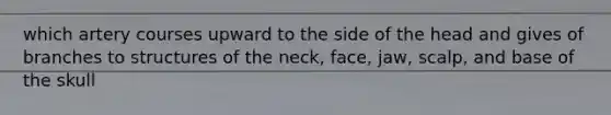 which artery courses upward to the side of the head and gives of branches to structures of the neck, face, jaw, scalp, and base of the skull