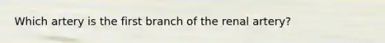 Which artery is the first branch of the renal artery?