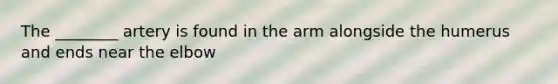 The ________ artery is found in the arm alongside the humerus and ends near the elbow