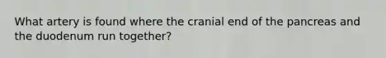 What artery is found where the cranial end of the pancreas and the duodenum run together?