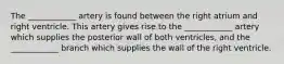 The ____________ artery is found between the right atrium and right ventricle. This artery gives rise to the ____________ artery which supplies the posterior wall of both ventricles, and the ____________ branch which supplies the wall of the right ventricle.