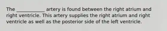The ____________ artery is found between the right atrium and right ventricle. This artery supplies the right atrium and right ventricle as well as the posterior side of the left ventricle.