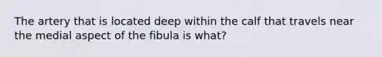 The artery that is located deep within the calf that travels near the medial aspect of the fibula is what?