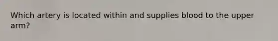 Which artery is located within and supplies blood to the upper arm?
