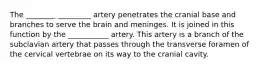 The ________ _________ artery penetrates the cranial base and branches to serve the brain and meninges. It is joined in this function by the ___________ artery. This artery is a branch of the subclavian artery that passes through the transverse foramen of the cervical vertebrae on its way to the cranial cavity.