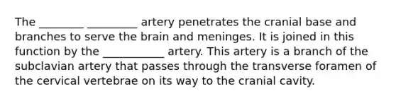 The ________ _________ artery penetrates the cranial base and branches to serve the brain and meninges. It is joined in this function by the ___________ artery. This artery is a branch of the subclavian artery that passes through the transverse foramen of the cervical vertebrae on its way to the cranial cavity.