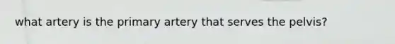 what artery is the primary artery that serves the pelvis?