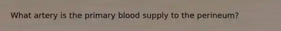 What artery is the primary blood supply to the perineum?