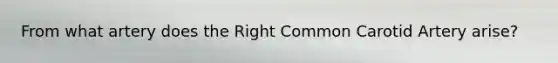 From what artery does the Right Common Carotid Artery arise?