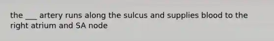 the ___ artery runs along the sulcus and supplies blood to the right atrium and SA node