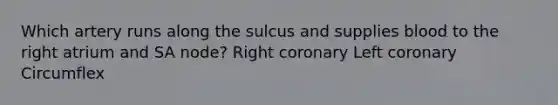 Which artery runs along the sulcus and supplies blood to the right atrium and SA node? Right coronary Left coronary Circumflex