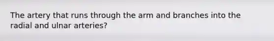 The artery that runs through the arm and branches into the radial and ulnar arteries?