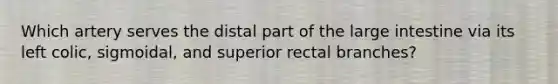 Which artery serves the distal part of the large intestine via its left colic, sigmoidal, and superior rectal branches?