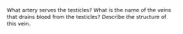 What artery serves the testicles? What is the name of the veins that drains blood from the testicles? Describe the structure of this vein.