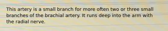 This artery is a small branch for more often two or three small branches of the brachial artery. It runs deep into the arm with the radial nerve.