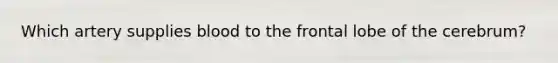 Which artery supplies blood to the frontal lobe of the cerebrum?