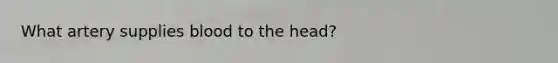 What artery supplies blood to the head?