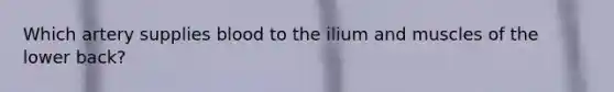 Which artery supplies blood to the ilium and muscles of the lower back?