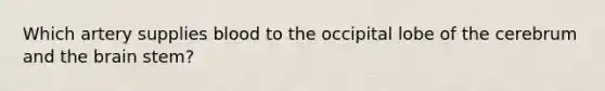Which artery supplies blood to the occipital lobe of the cerebrum and the brain stem?