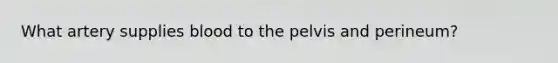 What artery supplies blood to the pelvis and perineum?