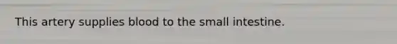 This artery supplies blood to the small intestine.