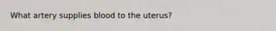 What artery supplies blood to the uterus?