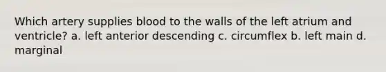 Which artery supplies blood to the walls of the left atrium and ventricle? a. left anterior descending c. circumflex b. left main d. marginal