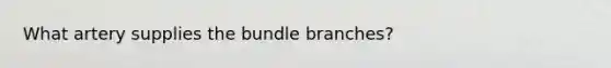 What artery supplies the bundle branches?