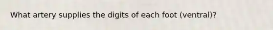 What artery supplies the digits of each foot (ventral)?