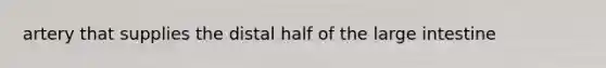 artery that supplies the distal half of the large intestine