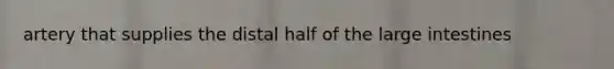 artery that supplies the distal half of the <a href='https://www.questionai.com/knowledge/kGQjby07OK-large-intestine' class='anchor-knowledge'>large intestine</a>s