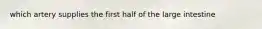 which artery supplies the first half of the large intestine