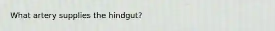 What artery supplies the hindgut?