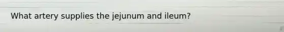 What artery supplies the jejunum and ileum?