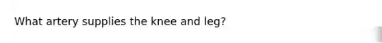 What artery supplies the knee and leg?