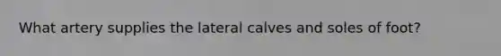 What artery supplies the lateral calves and soles of foot?